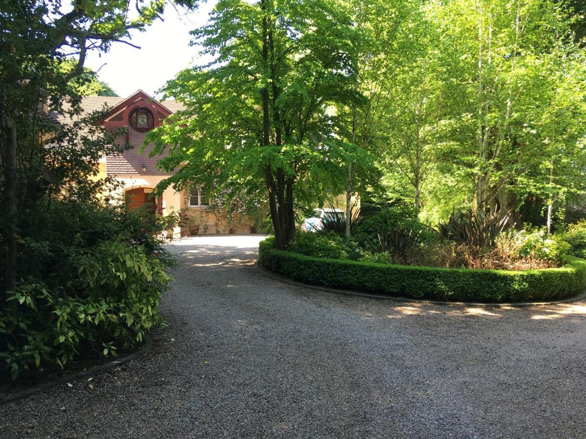 Gweebarra Bed and Breakfast Holywood  Exteriör bild